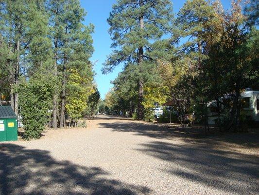 Rainbow Lake Mobile Home Park