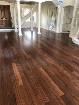 Custom Finished Engineered Sapele