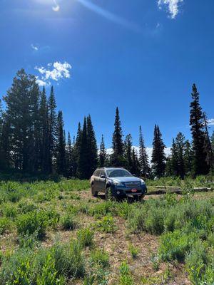 The beautiful Subaru