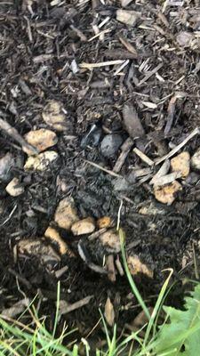 Flores Landscaping & Concrete