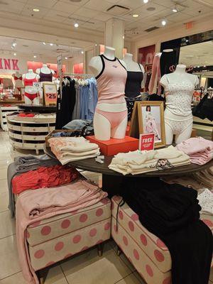 Victoria's Secret & PINK