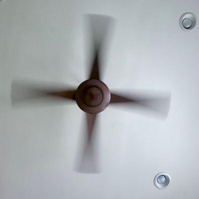 A happy ceiling fan after Alexander worked on it.