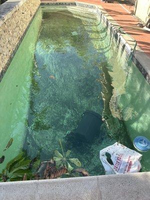 Maguire’s Pool Care