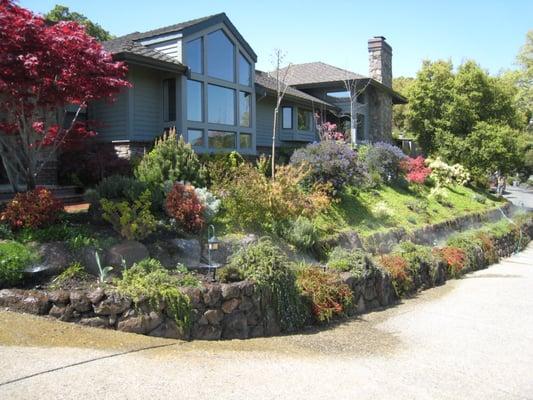 Lafayette CA Entry Driveway