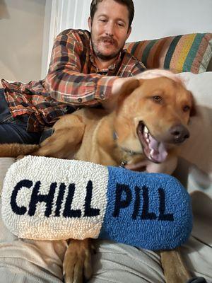 Pampered Paws Dog Hotel