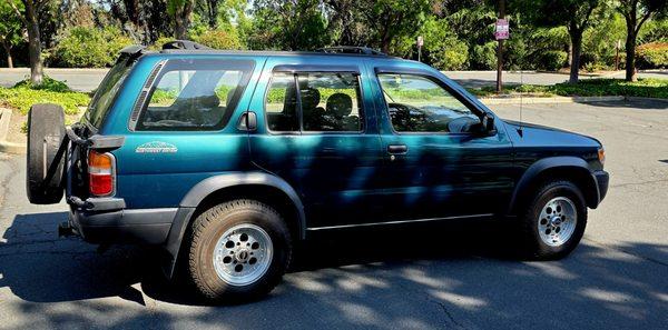 The Cobra Experience