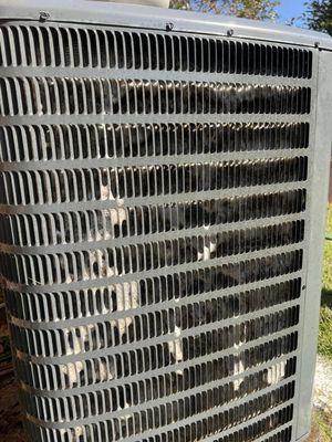 Chancelor Electrical