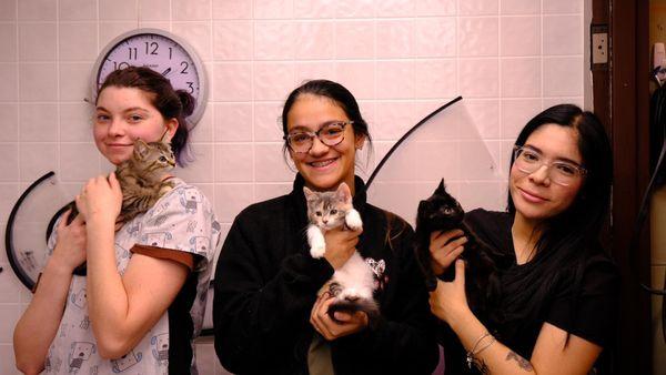 Alta View Veterinary Clinic