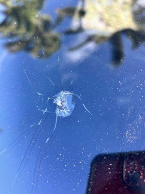 Same Day Windshield