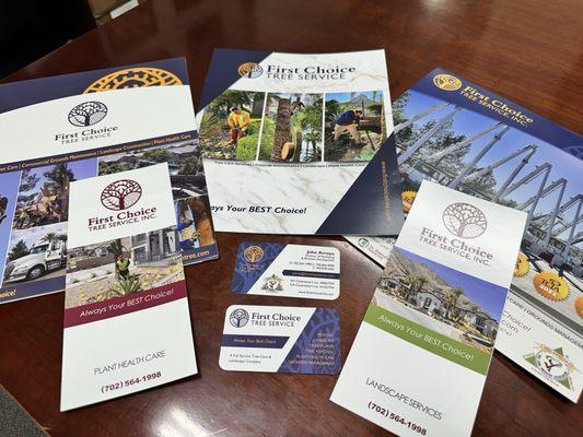 Presentation Folder, Pitch-book, Calendar, Brochures, and Business Cards