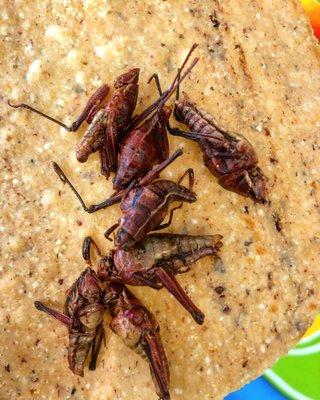 Chapulines con o sin Chile