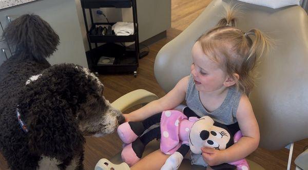 Mairs Family Dentistry