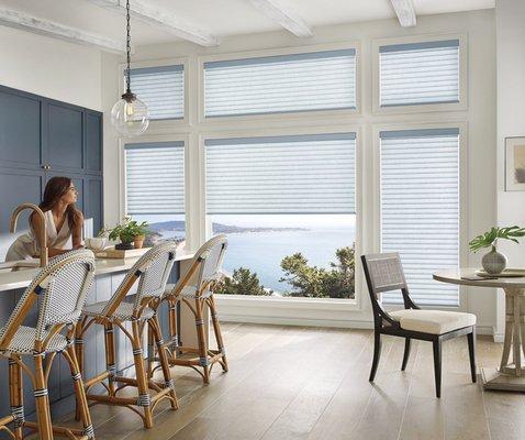 Smart Shades control your lighting with the touch of a button or the app.