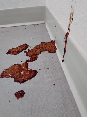 AMPM Cleaning Service