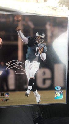 Donovan Mcnabb 8x10