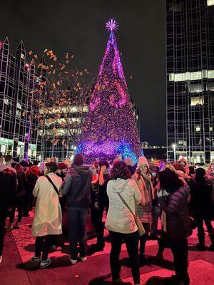 Light Up Night - Pittsbugh Downtown Partnership