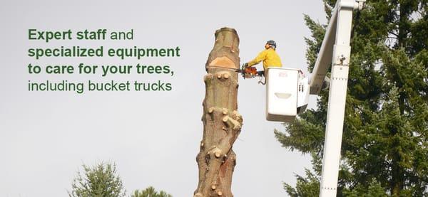 Beaver Tree Service Inc