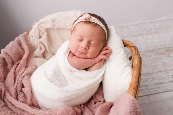 Little Branch Photography