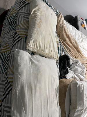 Motel 6-Memphis TN - East