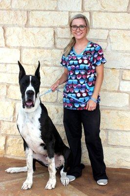 North Creek Animal Hospital
