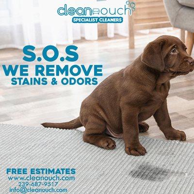 Cleanouch Upholstery Specialist Cleaners