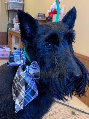 Groooming by Katrina