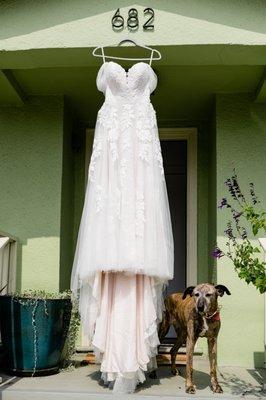 Kirsten Tucker Designs