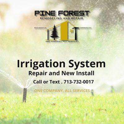 Pine Forest Remodeling and Repair