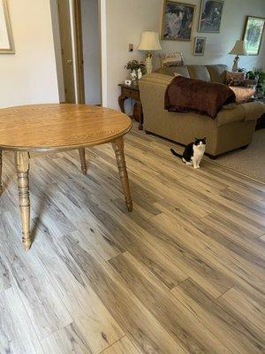 Stu's Flooring- Waukesha