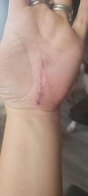 Las Vegas Neurosurgical Institute