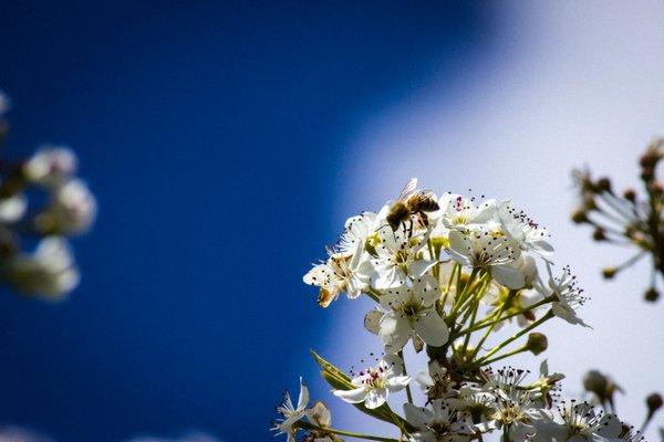 Beautifully Scene 101