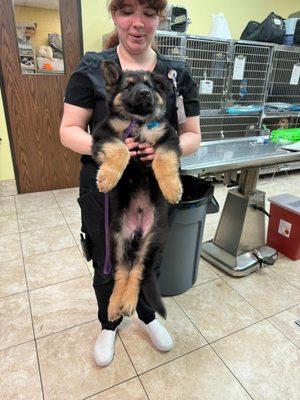 Family Animal Hospital of Friendswood