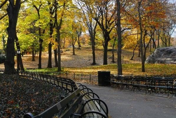 A Affordable Tree Experts