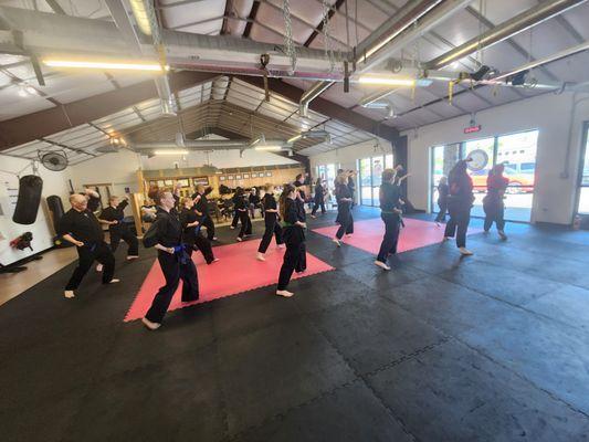 Elite Yoshukai Karate