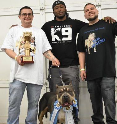 Timeless K9 Boarding And Training