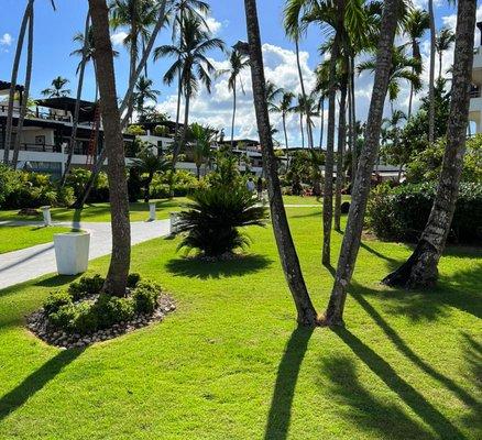 The Gardens Of Capri