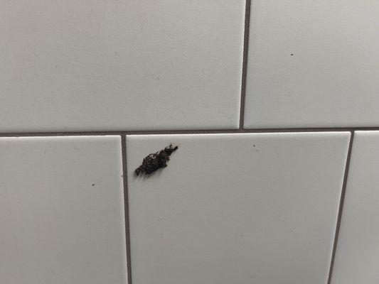 BioLife Plasma Services