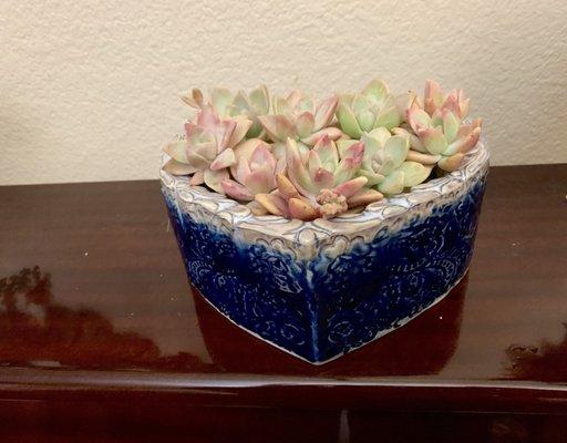 Quinn's Elegant Floral Design