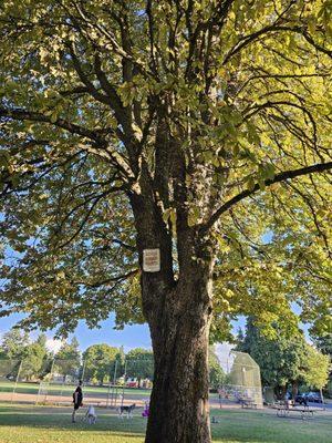 Nice sized, quiet park