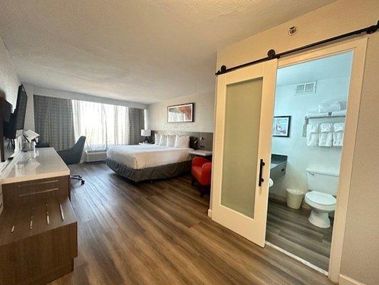 King Guestroom layout