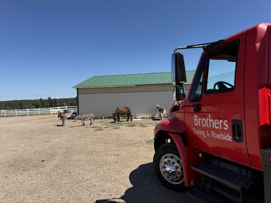 Brothers Towing & Roadside