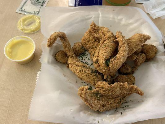 Catfish bites