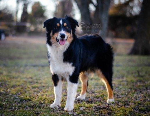 HealthPRO Resource Network CNA Academy