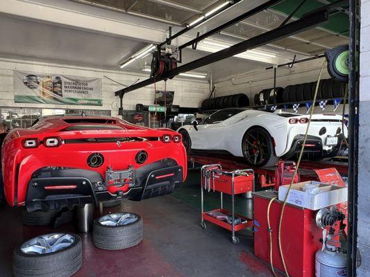 Sunset Service Super Lube