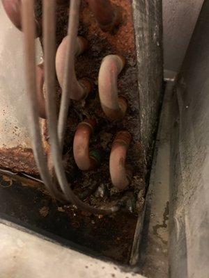 Friendly Village of Orangewood