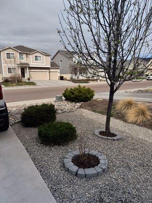 Santa Fe Dream Scapes