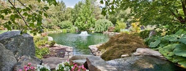 Freddy's Landscape Company