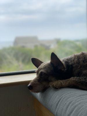 Sea Ranch Escape Vacation Rentals