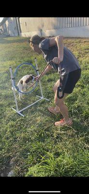 Traction Dog Training Club