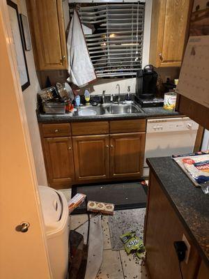 Mesa Police Department